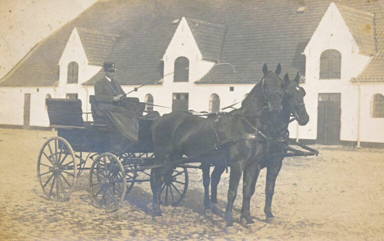 Fjedervogn med kusk og 2-spand,1900 (B855)